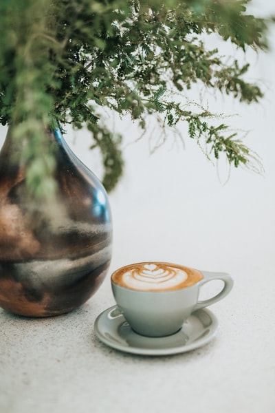 一杯咖啡拿铁放在花瓶里的植物旁边
